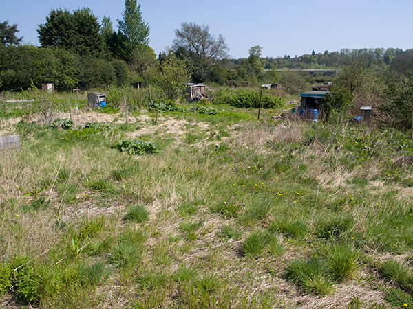 allotmentdevelopment2-web